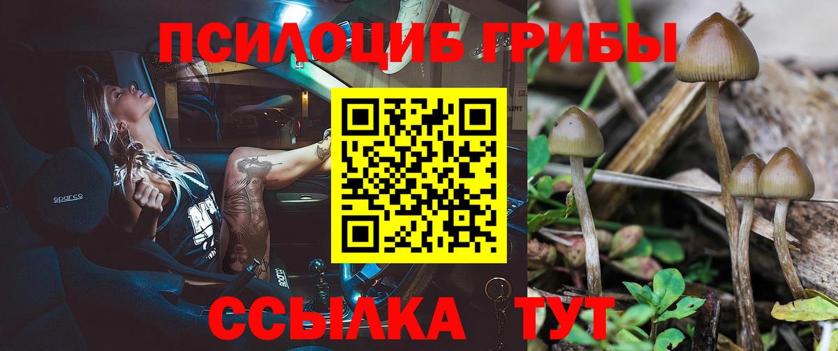 Гусев  Галлюциногенные грибы мухоморы  Псилоцибиновые грибы прущие грибы  Вход с VPN 