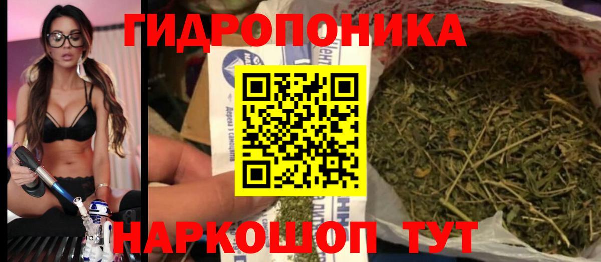 Канабис VHQ  Бошки Шишки Amnesia  Гусев  Вход с VPN  Конопля план 
